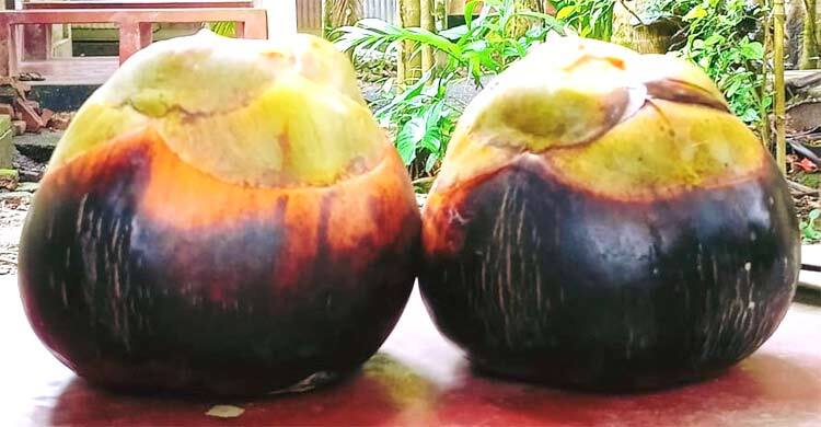 পাকা তালের ঘ্রাণ