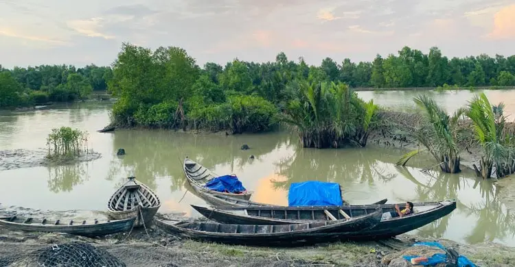 টেকনাফের নাফ নদীতে মাছ ধরার সময় জেলে গুলিবিদ্ধ