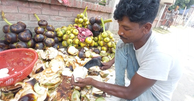 চুয়াডাঙ্গায় গরমে বেড়েছে তালশাঁসের কদর