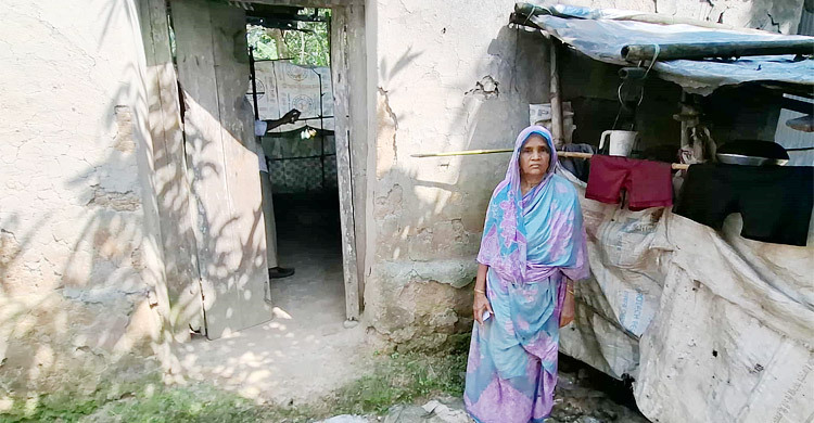 বৃষ্টি হলেই ঘর ভেঙে পড়ার আতঙ্কে থাকেন ফিরোজা বেগম