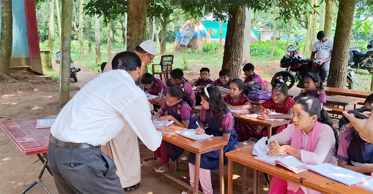 শ্রেণিকক্ষ সংকট, গাছতলায় চলে পাঠদান