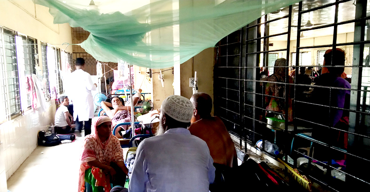 টাঙ্গাইলে একদিনে আরও ৪০ জন ডেঙ্গু আক্রান্ত