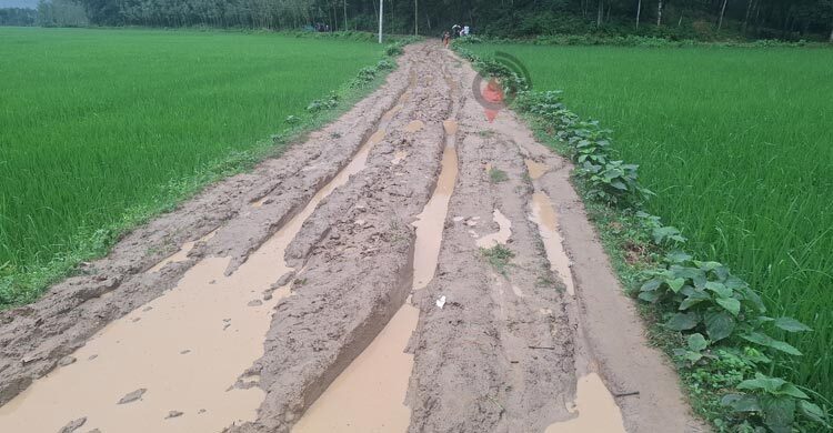 জনপ্রতিনিধি আসে যায়, সংস্কার হয় না সড়ক