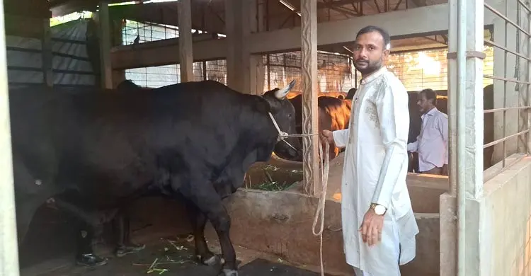টাঙ্গাইলে কোরবানির হাটে আসছে ২৭ মণের &lsquo;রাজাবাবু&rsquo;