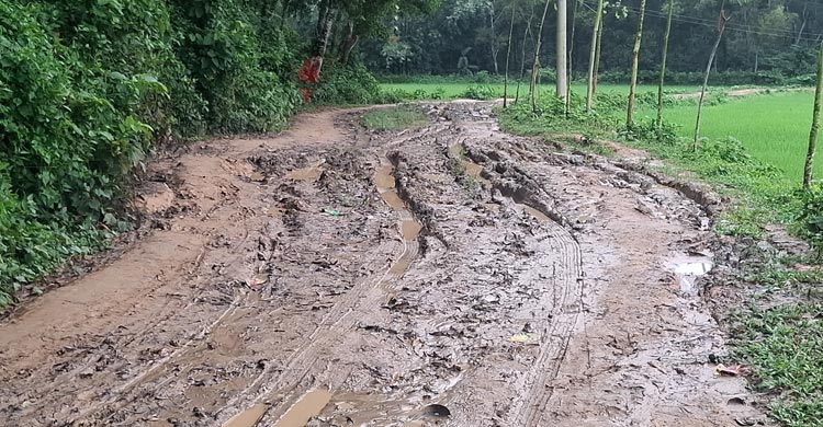 জনপ্রতিনিধি আসে যায়, সংস্কার হয় না সড়ক