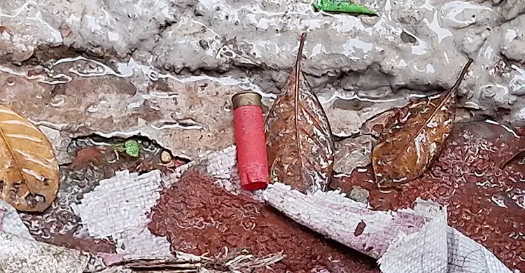 টাঙ্গাইলে ছাত্রদলের নেতার বাড়িতে গুলি, এলাকায় আতঙ্ক