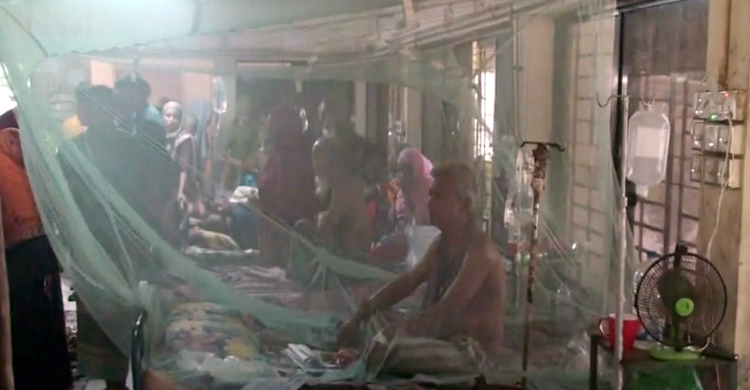 টাঙ্গাইলে আরও ৪৮ জন ডেঙ্গুতে আক্রান্ত