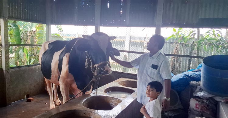 টাঙ্গাইলে বিক্রির জন্য প্রস্তুত চাহিদার চেয়ে ২৯ হাজারের বেশি পশু