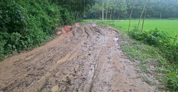 জনপ্রতিনিধি আসে যায়, সংস্কার হয় না সড়ক