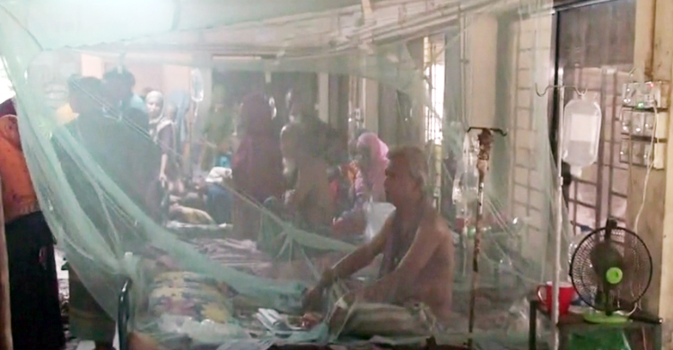 টাঙ্গাইলে একদিনে ৩৬ জন ডেঙ্গু আক্রান্ত