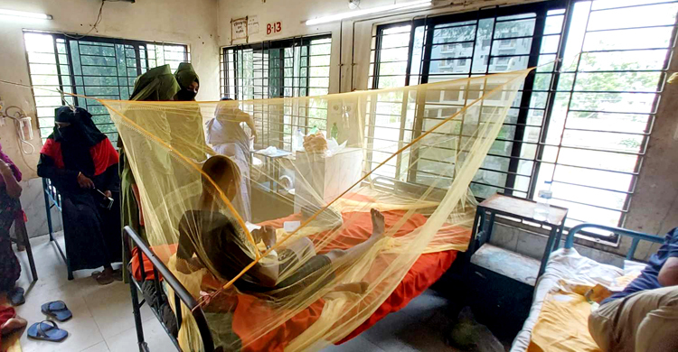 টাঙ্গাইলে একদিনে ১৬ জন ডেঙ্গু জ্বরে আক্রান্ত