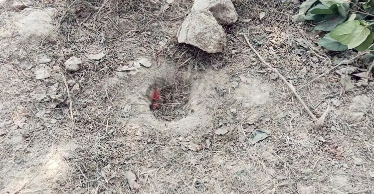 তানোরে ছড়িয়ে ছিটিয়ে অসংখ্য ‘মৃত্যুকূপ’