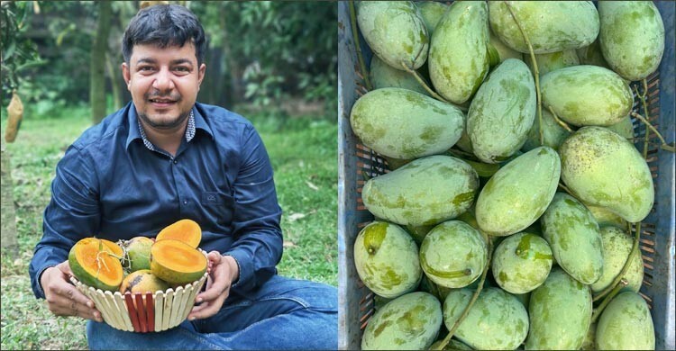 ভুয়া অর্ডার দিয়ে বেশি হয়রানি করেছে জামায়াতের ভাইয়েরা: তারেক রহমান