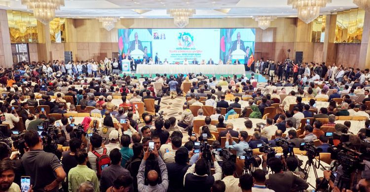 মন্ত্রিসভার আকার কেমন হওয়া উচিত?