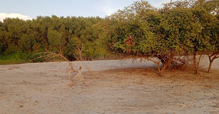 ভোলার তারুয়া সমুদ্রসৈকতে যেভাবে যাবেন