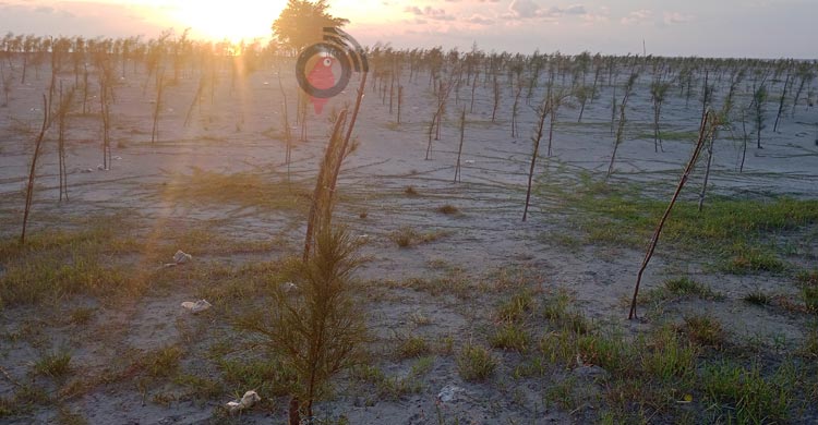 ভোলার তারুয়া সমুদ্রসৈকতে যেভাবে যাবেন