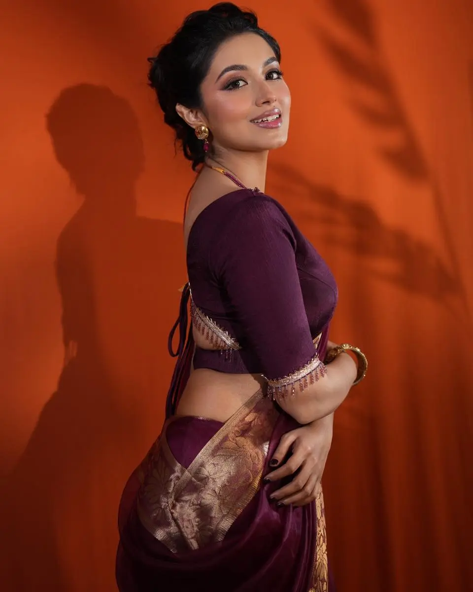 মেরুনের আভিজাত্যে মোহময় তাসনিয়া ফারিণ