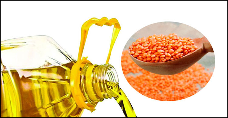 টিসিবির জন্য ১২১ কোটি ৬৫ লাখ টাকার ডাল-তেল কিনবে সরকার