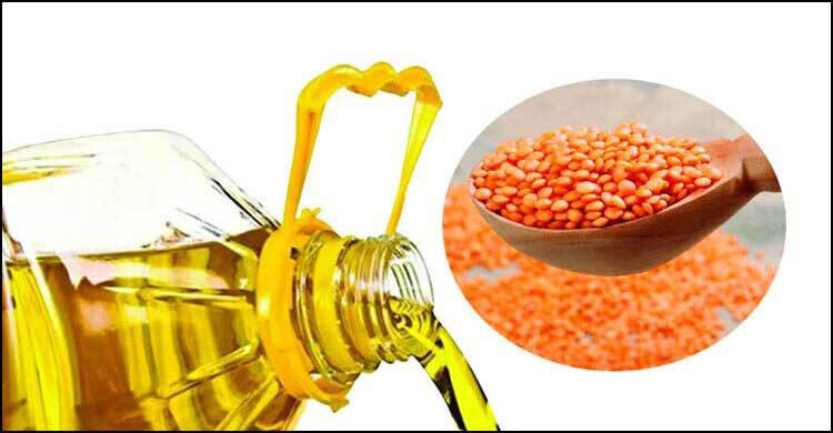 ১ কোটি ২০ লাখ লিটার সয়াবিন, ১০ হাজার টন মসুর ডাল কিনবে সরকার
