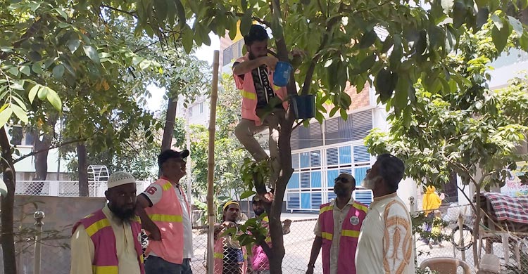 নারায়ণগঞ্জ, দাবদাহদাবদাহে কুকুর-বিড়াল ও পাখির তৃষ্ণা মেটাতে এগিয়ে এলো টিম খোরশেদ