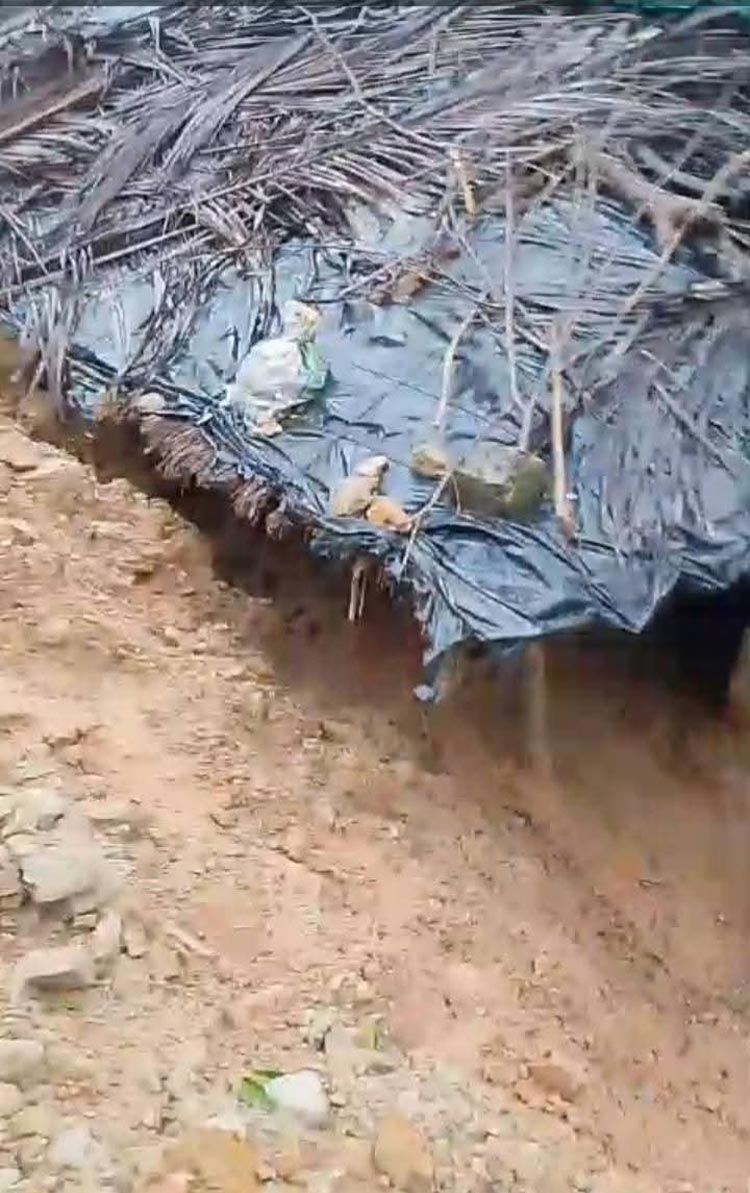 টেকনাফে বৃষ্টি-পাহাড়ধসে ক্ষতিগ্রস্ত ৩০ হাজার মানুষ