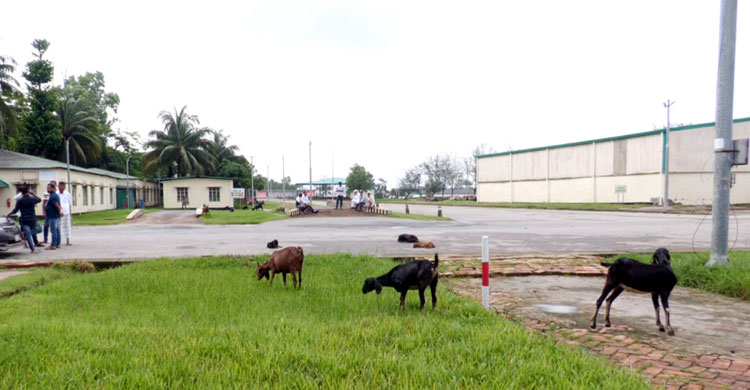 বন্ধ টেকনাফ স্থলবন্দরের গোডাউনে পচছে কোটি টাকার পণ্য