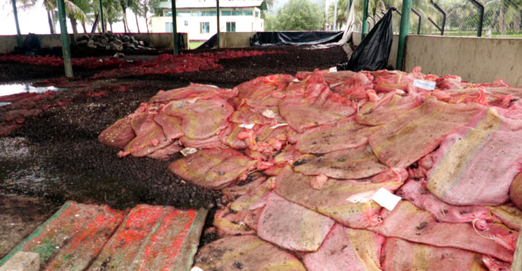 বন্ধ টেকনাফ স্থলবন্দরের গোডাউনে পচছে কোটি টাকার পণ্য