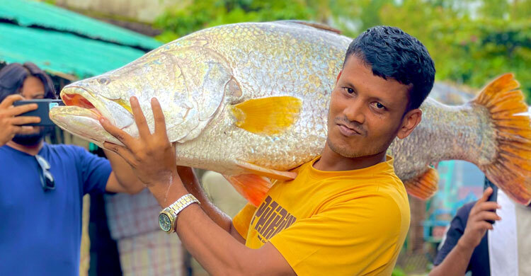 বড়শিতে ধরা পড়লো ২৬ কেজির কোরাল, ৩৯ হাজারে বিক্রি