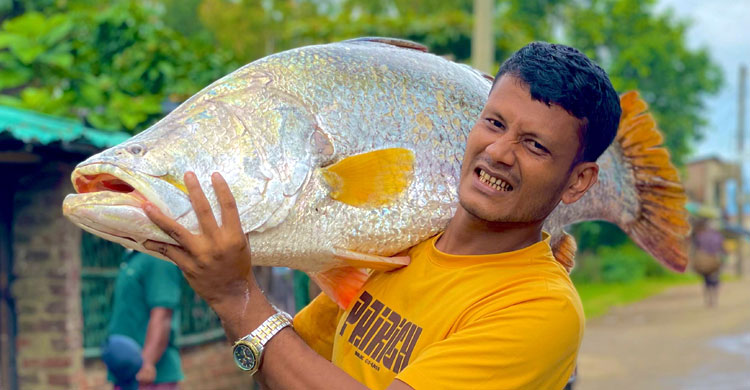 টেকনাফে ২৬ কেজির কোরাল ৩৯ হাজারে বিক্রি