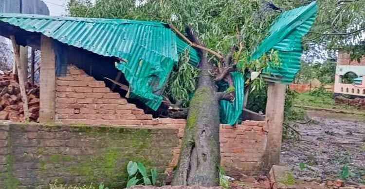 দমকা বাতাসে টেকনাফে লন্ডভন্ড গাছপালা-বাড়িঘর