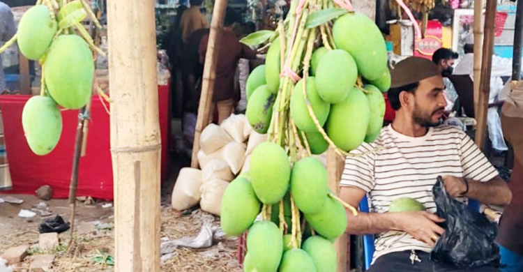 টেকনাফের বাজারে অসময়ে কাঁচা আম, কেজি ৫৫০ টাকা