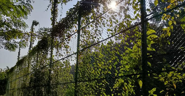 ‘পরিত্যক্ত’ অর্ধকোটি টাকার টেনিস কোর্ট