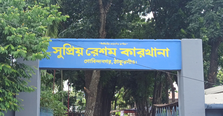 চালু হলো ঠাকুরগাঁওয়ের রেশম কারখানা