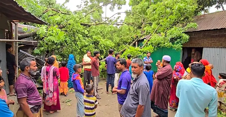 কালবৈশাখীর তাণ্ডবে লন্ডভন্ড ঠাকুরগাঁওয়ের বিভিন্ন এলাকা