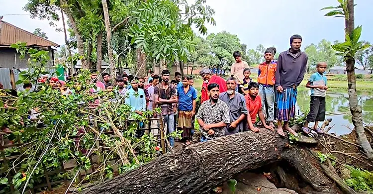 কালবৈশাখীর তাণ্ডবে লন্ডভন্ড ঠাকুরগাঁওয়ের বিভিন্ন এলাকা