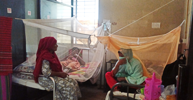 ঠাকুরগাঁওয়ে ডেঙ্গুর প্রকোপ, হাসপাতালে ভর্তি ৭