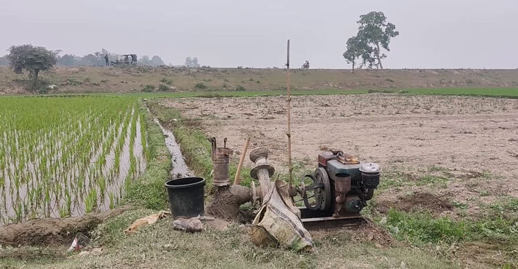 ঠাকুরগাঁওয়ে জ্বালানি তেল সংকট, সেচ নিয়ে দুশ্চিন্তায় কৃষক
