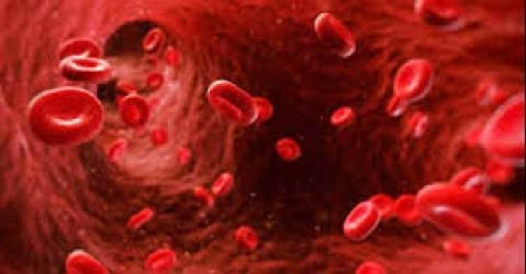 বিশ্ব থ্যালাসেমিয়া দিবস আজ