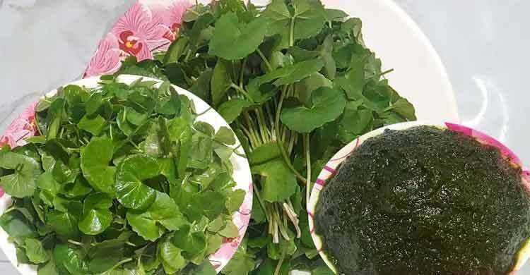 পরিচিত শাকে লুকিয়ে আছে অচেনা উপকার