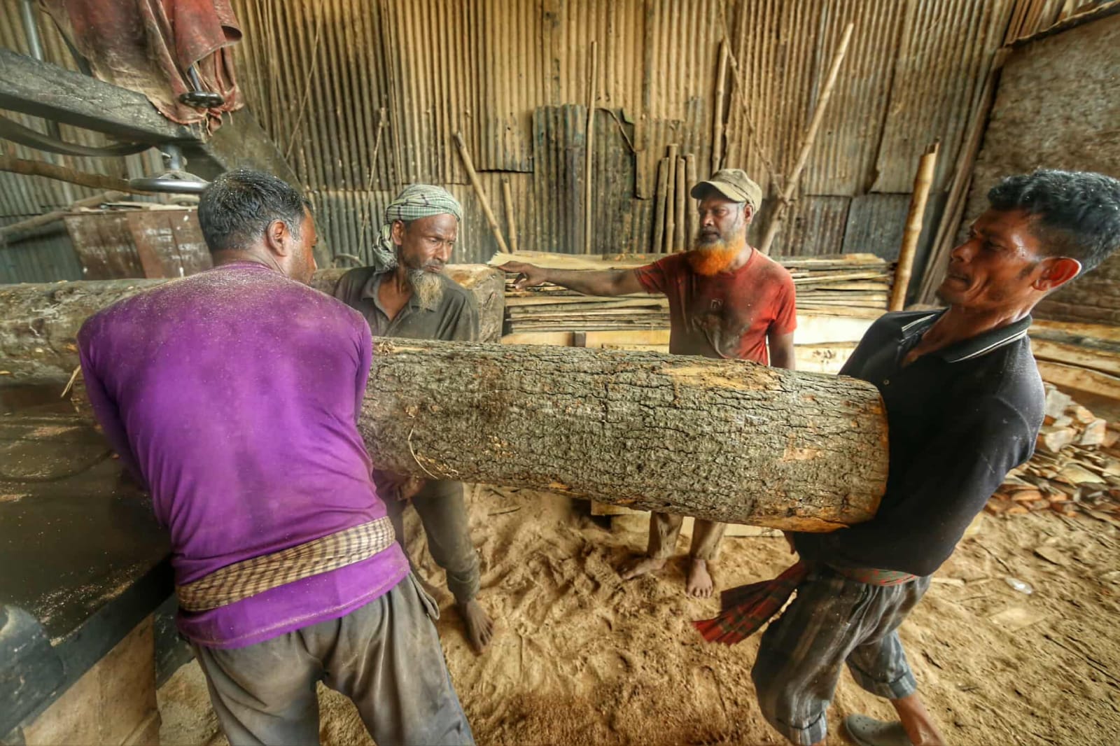 করাতের শব্দে হারিয়ে যায় জীবনের নিরাপত্তা