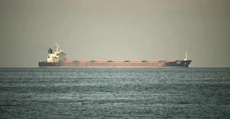 Iran introduces ship vetting system for Strait of Hormuz transit