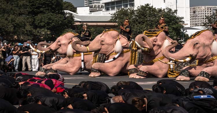 থাইল্যান্ডের প্রয়াত রানিকে শ্রদ্ধা জানাতে গোলাপি রঙের হাতি