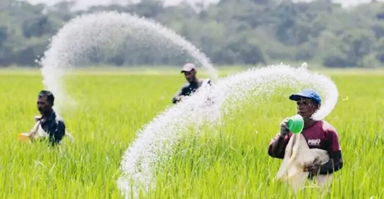 কানাডা-সৌদি আরব থেকে ৩৭৫ কোটি টাকায় আসবে ৮০ হাজার টন সার