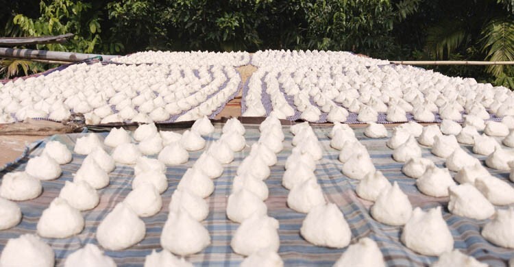 কুমড়ার বড়ি তৈরিতে ব্যস্ত নড়াইলের নারীরা