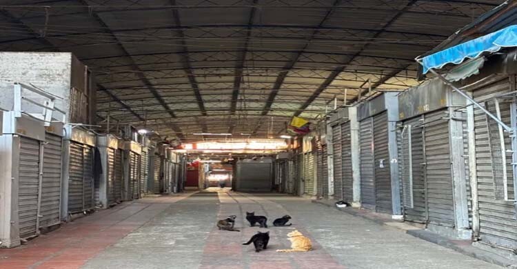 মাদুরোর অপহরণে নিস্তব্ধ ভেনেজুয়েলা, নাগালের বাইরে নিত্যপণ্যের দাম