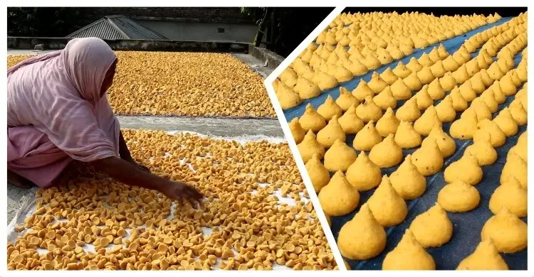 কুমড়া বড়িতে সচ্ছলতা ফিরছে গ্রামীণ পরিবারে