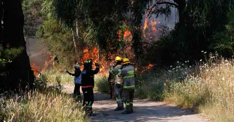 চিলিতে ভয়াবহ দাবানলে নিহত ১৯, জরুরি অবস্থা ঘোষণা