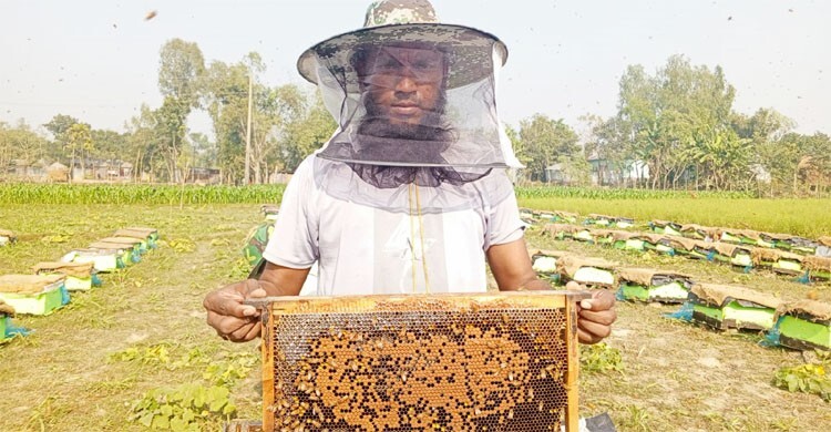 করোনাকালে চাকরি হারিয়ে মৌচাষে সফল শাহ আলম