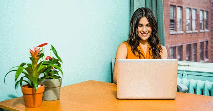 অফিসের ডেস্কে ইনডোর প্ল্যান্ট কেন রাখবেন