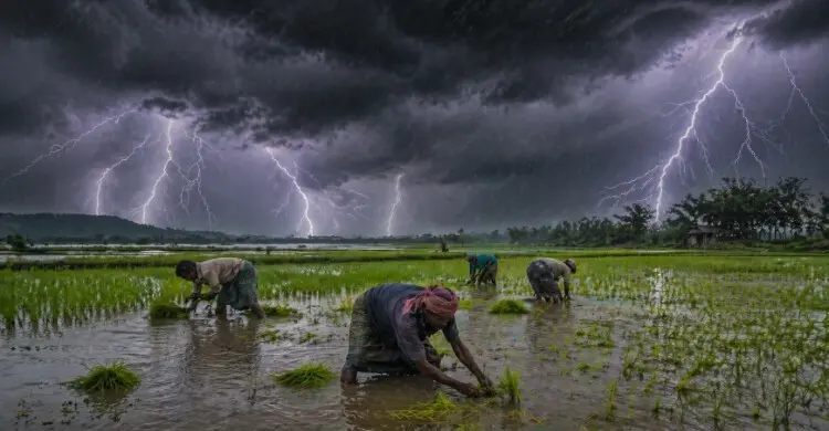 সবচেয়ে বেশি বজ্রপাত হয় কোন জেলায়, কেন?